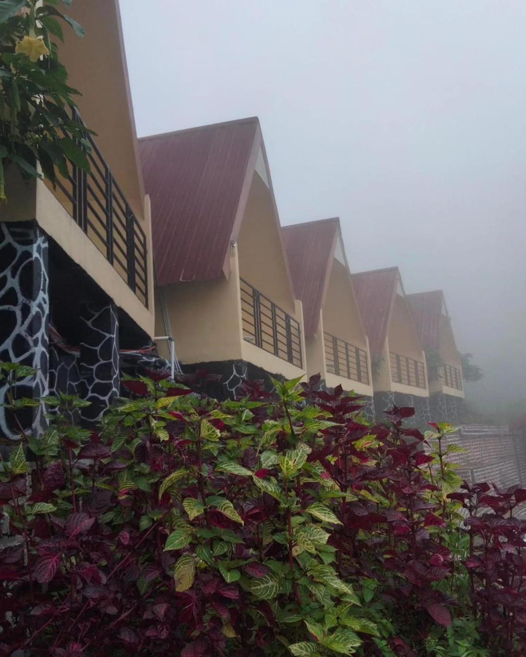 Hotel Nature Bromo And Resort باسوروان المظهر الخارجي الصورة